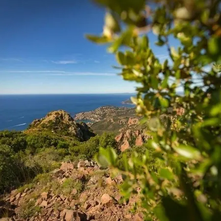 公寓 Cap Esterel 69